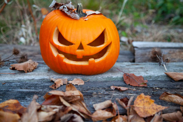 istock Halloween Jack-o-Lantern Pumpkins 1272699158