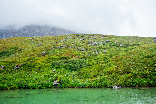 Vivid green landscape with raindrops on mountain lake among low clouds. Rain drops on lake water. Colorful scenery of highlands in rainy weather. Circles on green water. Droplets on alpine lake.