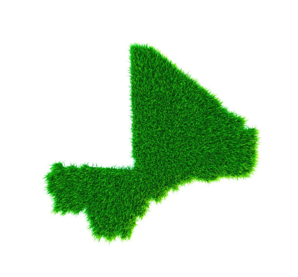 istock Grass map of Mali, isolated on white 1272699490