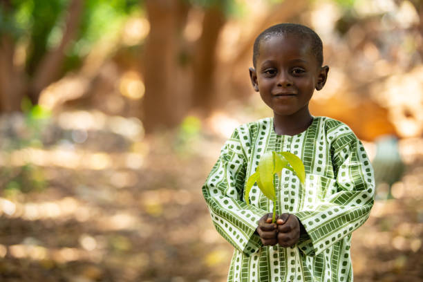 Smiling beautiful small African kid dressed in traditional outfit holding a mango seedling in a shaded tree area in a suburb of Niamey, capital of Niger stock photo
