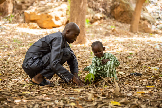 African father and his small kid dressed in traditional outfit planting a mango seedling in a shaded tree area in a suburb of Niamey, capital of Niger stock photo