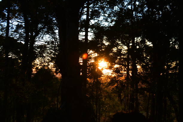 istock Santa Catarina landscapes (sunset) 1272705235