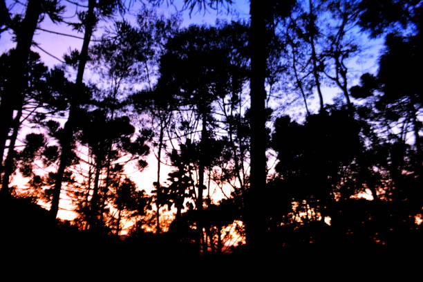 istock Santa Catarina landscapes (sunset) 1272705265