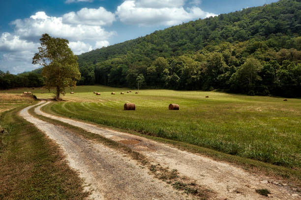 Country Road Country lane with hay bales and mountain country road sky field cloudscape stock pictures, royalty-free photos & images