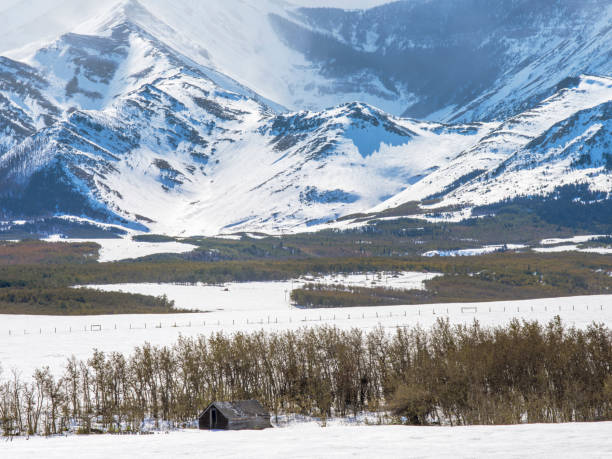 istock rural scenes in winter 1272710188