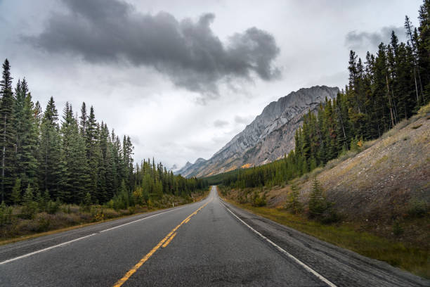 istock winding mountain road in Banff National Park 1272710269