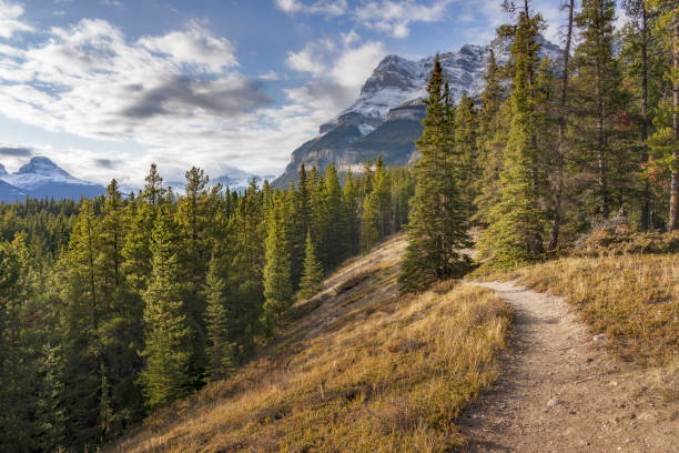 istock trail of Banff National Park 1272710297