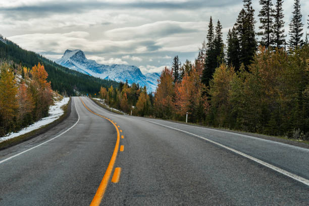 istock winding mountain road in Banff National Park 1272710315