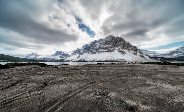 пустой пляж грязи со следами против канадских скалистых гор - autumn road landscape mountain стоковые фото и изображения