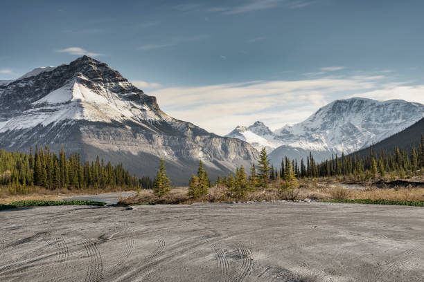 istock empty dirt beach with traces against Canadian Rockies 1272710349