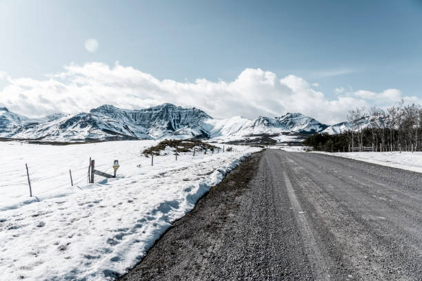 dirt road go through snow mountains, AB, Canada.