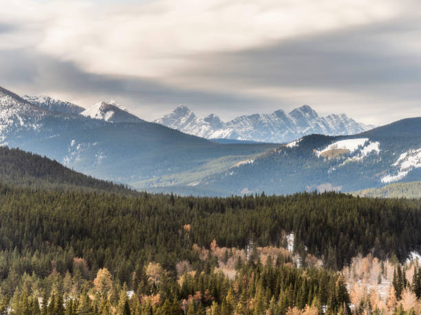 istock Canadian Rockies in autumn 1272711022