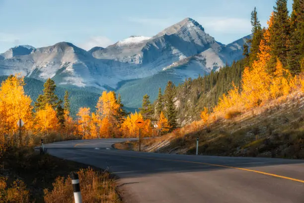 Highway 66 runs through autumn landscape of Kananaskis region in Alberta .
