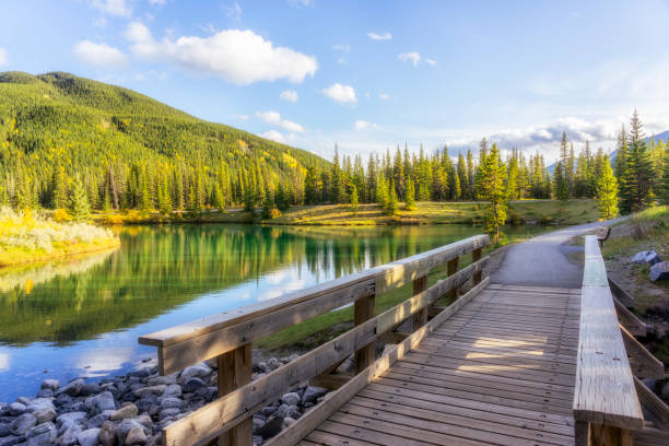 forget-me-not pond - kananaskis country imagens e fotografias de stock