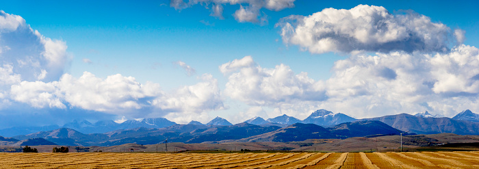 Wind Turbines behind harvested field against blue sky, AB, Canada.