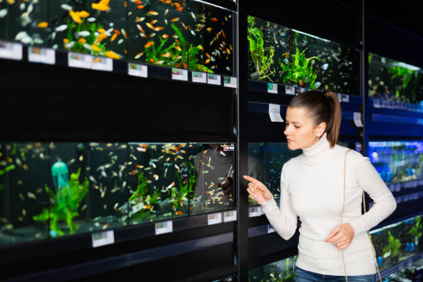 istock Brunette choosing aquarium fish in pet store 1272713226