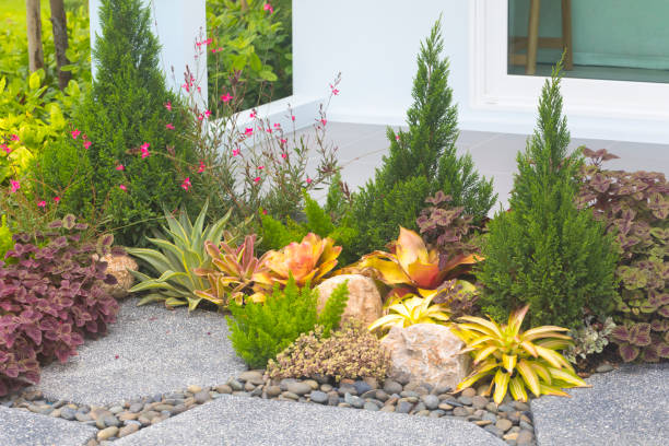 istock Natural stone landscaping in backyard in summer. 1272717192