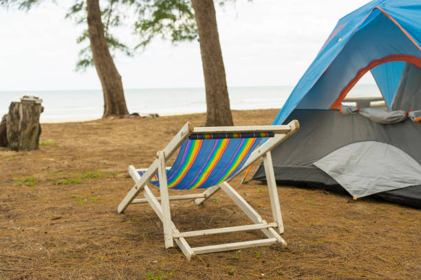 istock Tent by the beach with pine tree. 1272717194