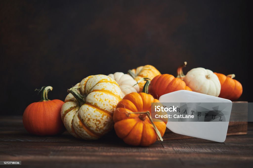 Collection of miniature pumpkins in wooden crate with GRATEFUL message for Fall and Thanksgiving Thanksgiving - Holiday Stock Photo