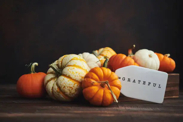 Photo of Collection of miniature pumpkins in wooden crate with GRATEFUL message for Fall and Thanksgiving