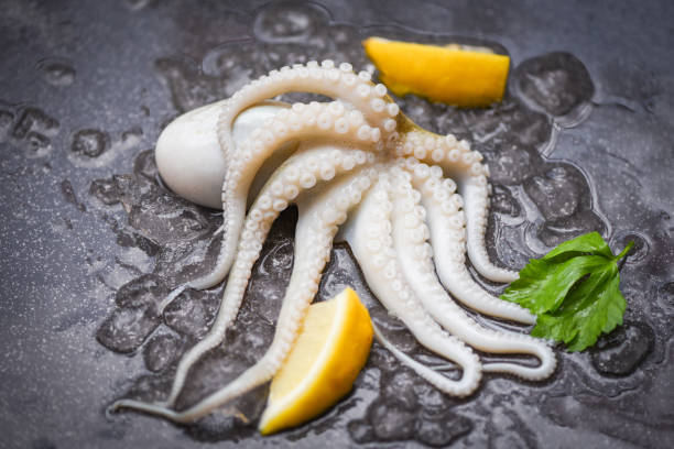 istock Fresh squids octopus or cuttlefish for cooked food salad restaurant - Raw squid on ice with lemon on the dark plate seafood market 1272721901