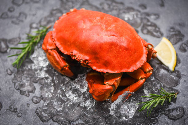 istock Seafood shellfish Steamed red crab or Boiled stone crab - Fresh crab with ingredients lemon rosemary on  ice 1272721916
