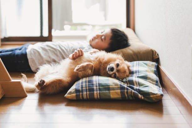istock Boy and dog relaxed at home 1272726522