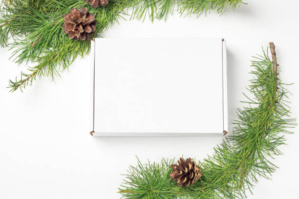 istock Mockup white gift box on a white background decorated Christmas tree branch with cones. Christmas, winter holidays, new year concept. 1272729430