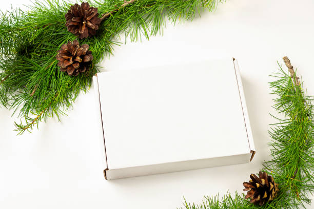 istock Mockup white gift box on a white background decorated Christmas tree branch with cones. Christmas, winter holidays and new year concept. 1272729433