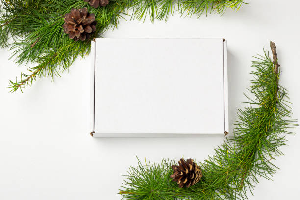 istock Mockup white gift box, decorated with Christmas tree branch with cones on white background. Christmas, winter holidays and new year concept. 1272729460