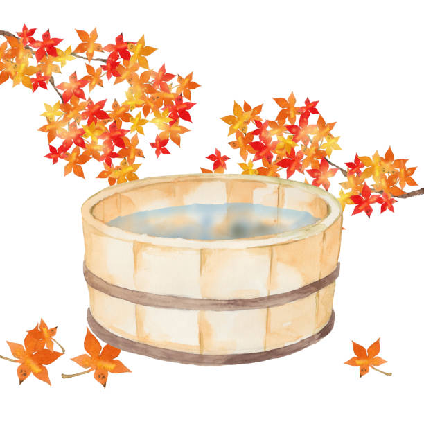 ilustraciones, imágenes clip art, dibujos animados e iconos de stock de lavabo japonés con hojas - japanese maple autumn leaf tree