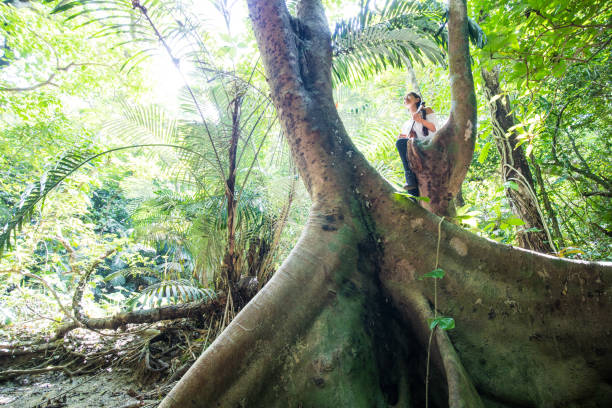 istock Young Okinawan woman in a tree with Ukulele 1272732606
