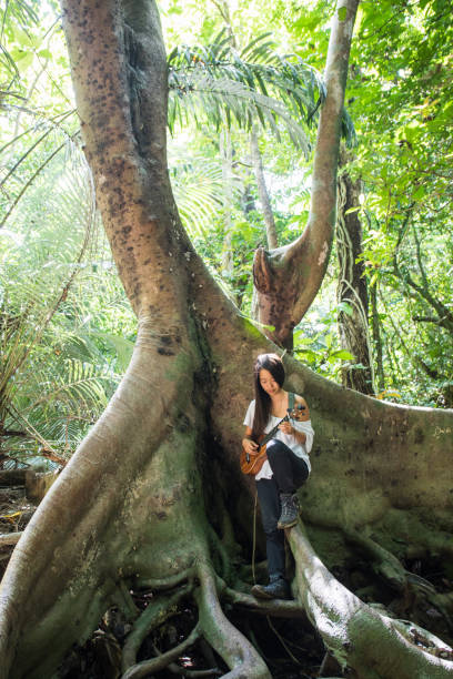istock Young Okinawan woman in a tree with Ukulele 1272732624