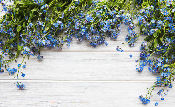 istock Forget-me-not flowers on a wooden background 1272734996