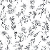 istock Medicinal herbs. Vector  seamless pattern. 1272735169