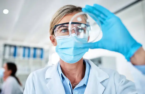 Shot of a mature scientist analysing samples in a petri dish in a lab