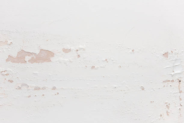 damage from damp and moisture in the plasterboard wall texture background - water damaged stained concrete imagens e fotografias de stock