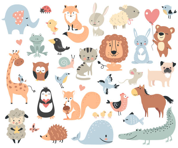illustrazioni stock, clip art, cartoni animati e icone di tendenza di animali selvatici e animali domestici. - animale illustrazioni