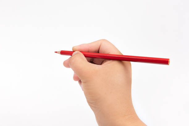istock One man's hand with the pencil isolated on white background 1272747876