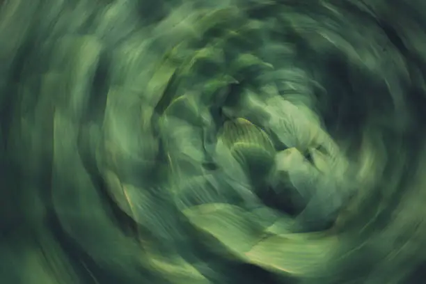 Textured motion blur long exposure of green plants and flowers. Green abstract swirling kaleidoscope pattern.