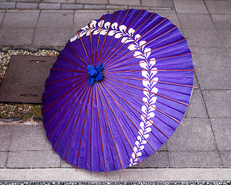 Violet on grey ground