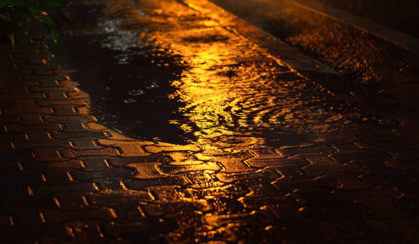 istock Wet foot path after hard rain fall at night. 1272753557
