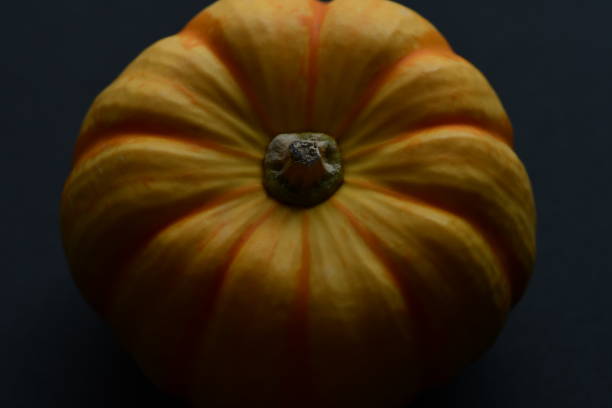 istock Fresh orange pumpkin isolated on black background. 1272754000
