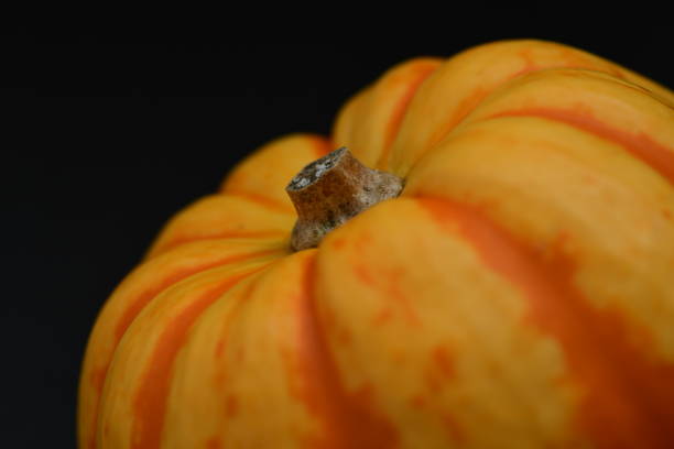 istock Fresh orange pumpkin isolated on black background. 1272754020