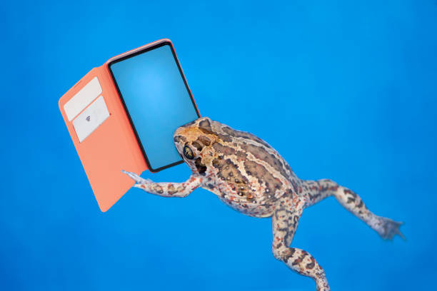 3d Illustration Frog and Smartphone on a White Background