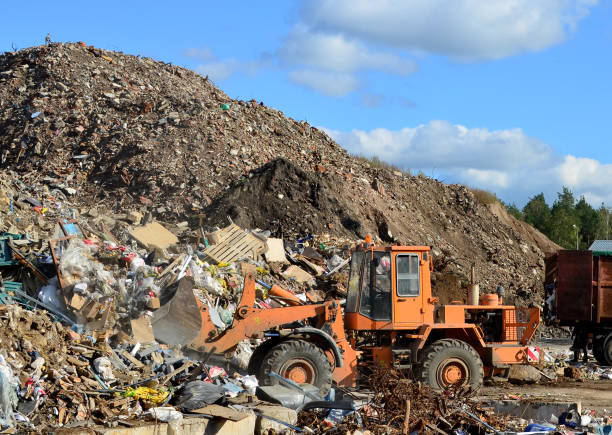 Heavy machinery and trucks in action at a landfill site, surrounded by numerous birds.