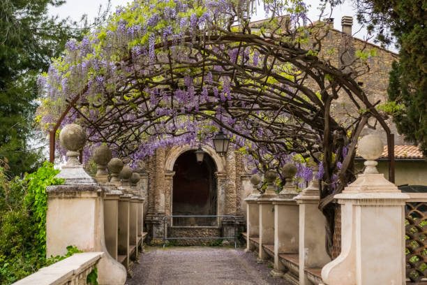 istock Wisteria pergola with lanterns 1272755922