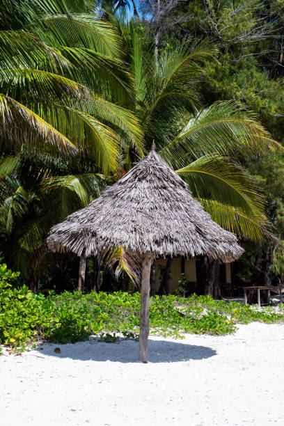 istock Beach paradise. Zanzibar, Tanzania 1272756636