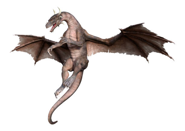 istock 3D illustration fantasy dragon on white 1272760229