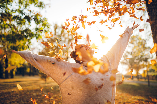 Young Caucasian beautiful woman in sweater enjoying autumn at public park. Throwing colorful leaves in the air.